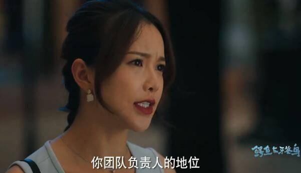 鳄鱼与牙签鸟第8集分集剧情介绍
