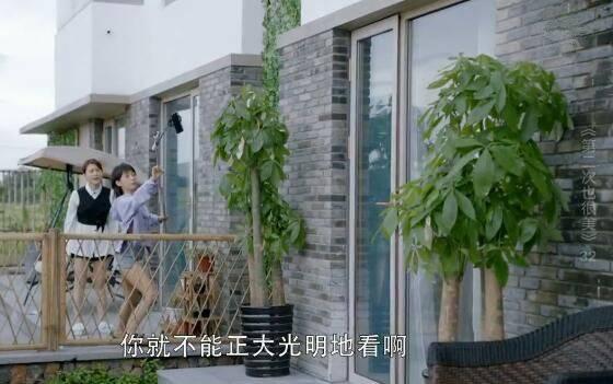 第二次也很美第32集分集剧情介绍