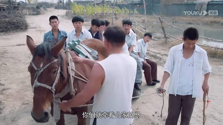 青谷子第13集分集剧情介绍