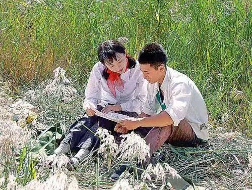 青谷子第6集分集剧情介绍